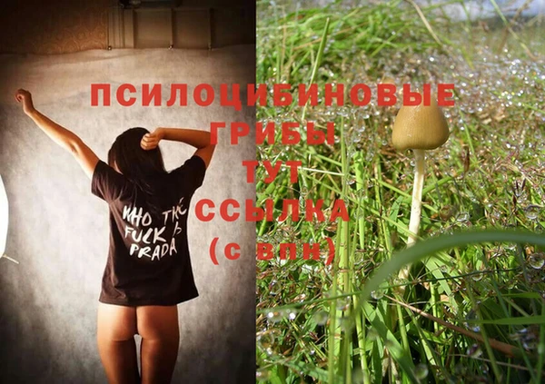 трава Алзамай