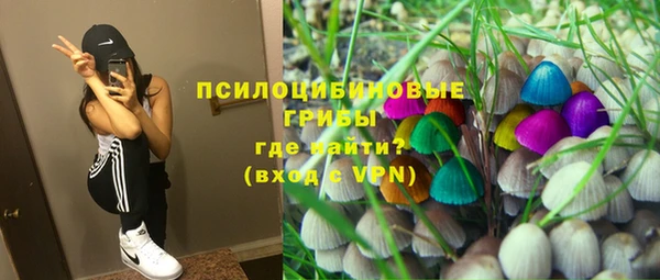 спиды Абаза